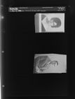 Portrait of man and woman (2 Negatives), January 1-3, 1966 [Sleeve 2, Folder a, Box 39]